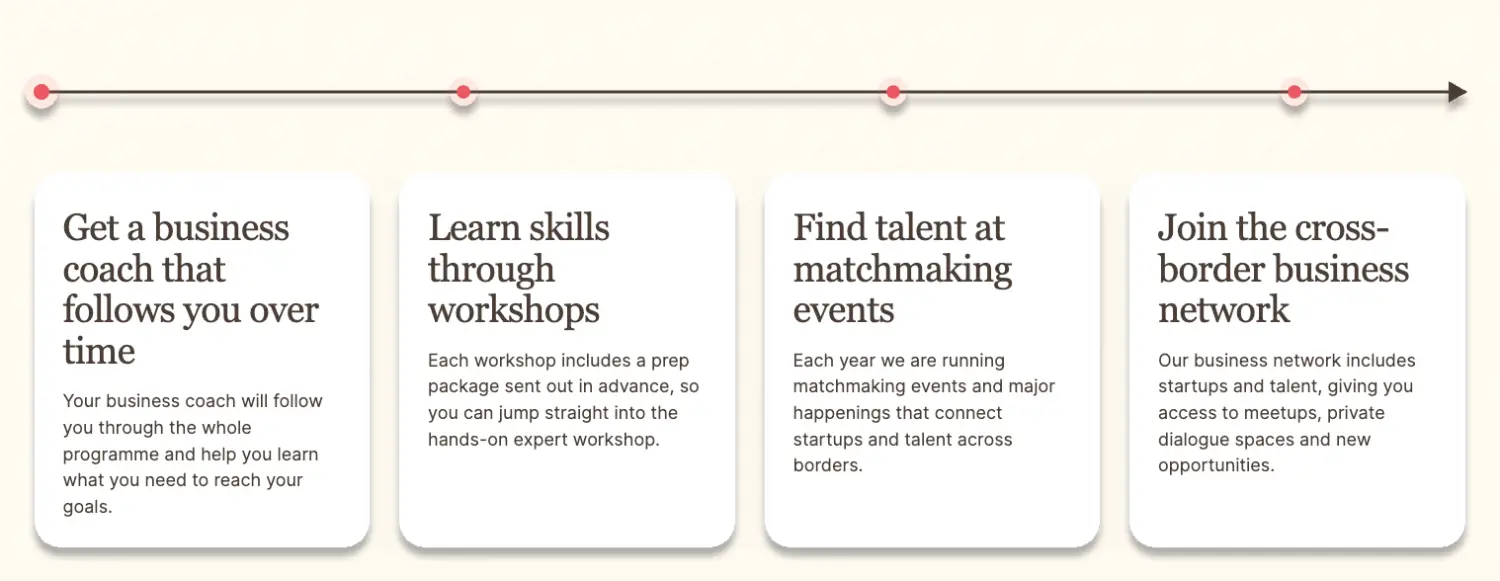 What you get in the project: business coach, workshops, matchmaking events and network.